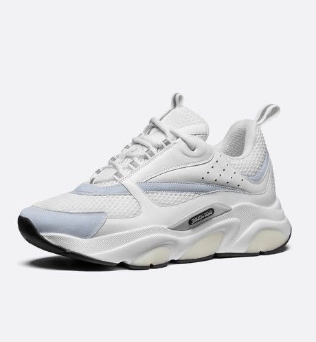 Dior B22