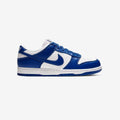 Nike Dunk Low kentucky